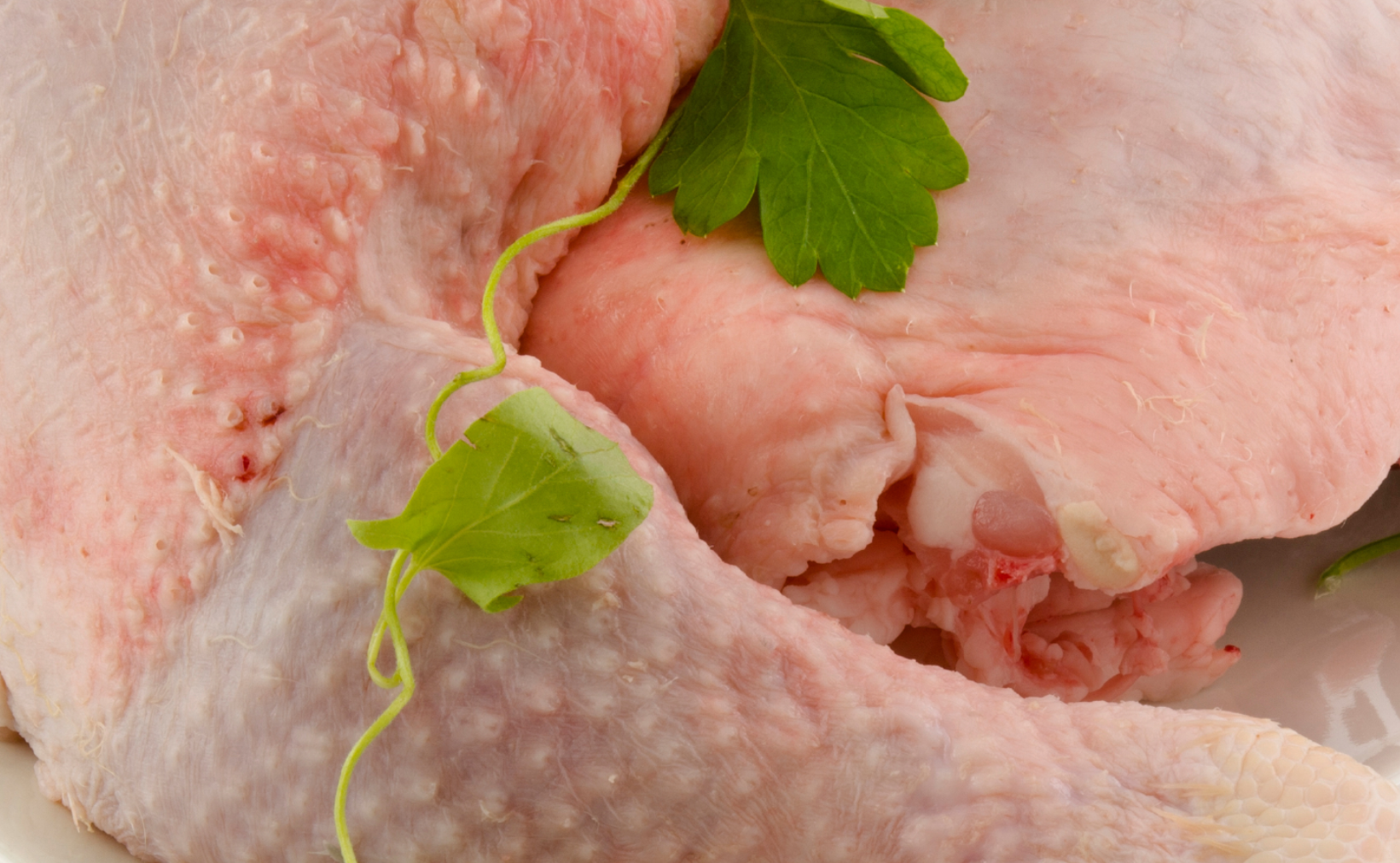 How To Handle Raw Chicken?